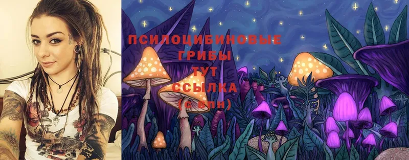 Галлюциногенные грибы MAGIC MUSHROOMS  Дубна 